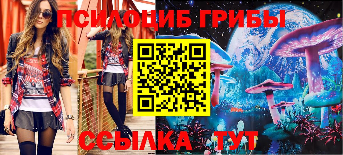 Ипатово  Псилоцибиновые грибы мухоморы  Вход с VPN 