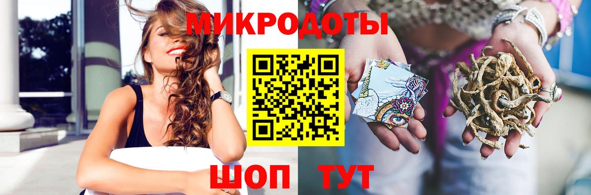 Псилоцибиновые грибы Cubensis Ипатово